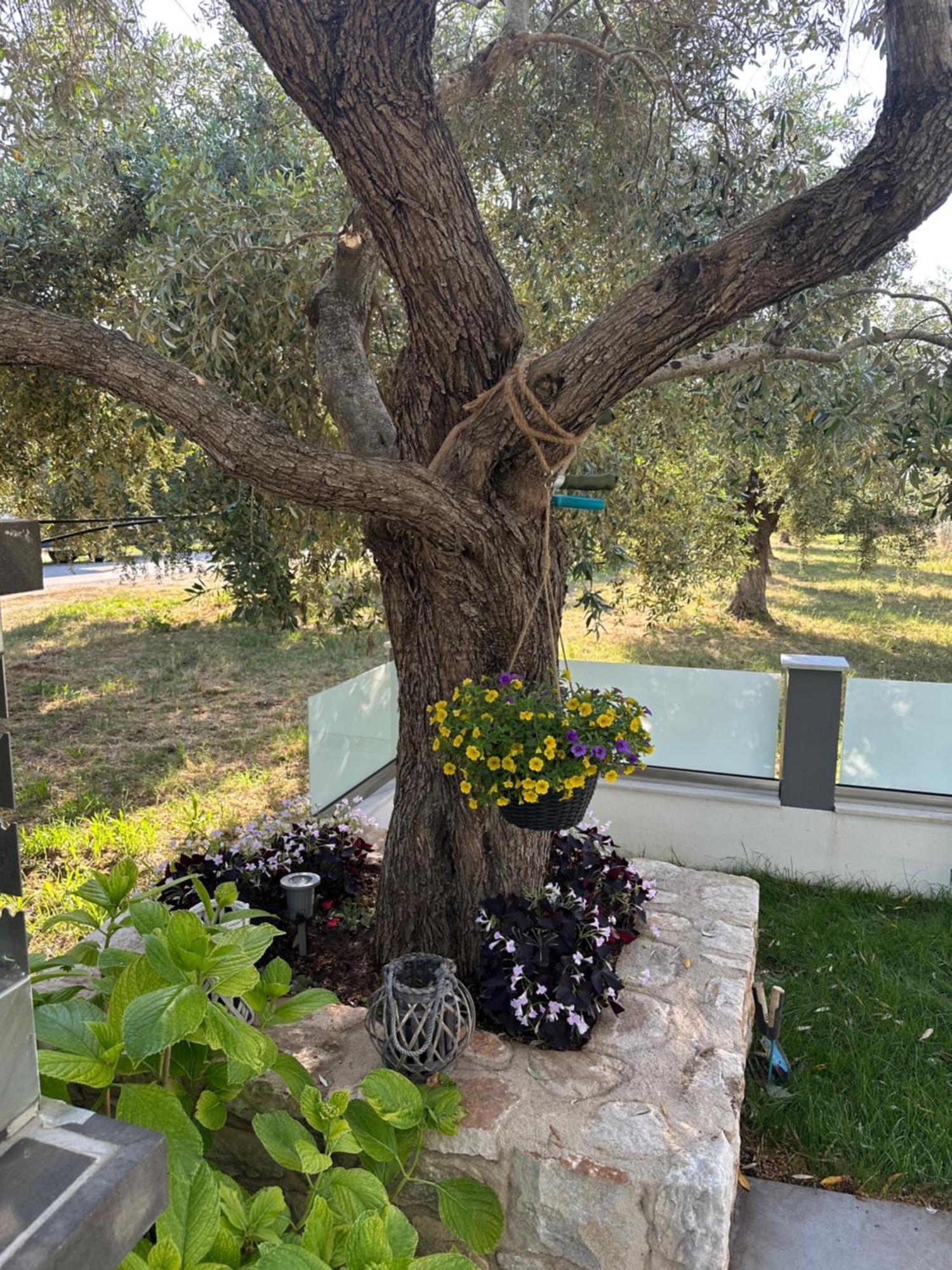 Danielli Luxury Villas Σκάλα Ραχωνίου Εξωτερικό φωτογραφία