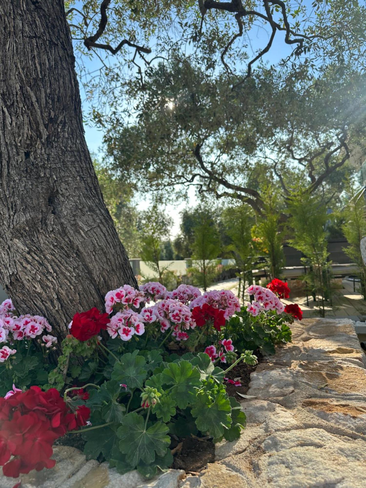 Danielli Luxury Villas Σκάλα Ραχωνίου Εξωτερικό φωτογραφία